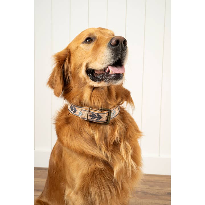 Indaba Trading - Wholesale Pet Collar - Dog - Casper Embroidered Dog Collar M