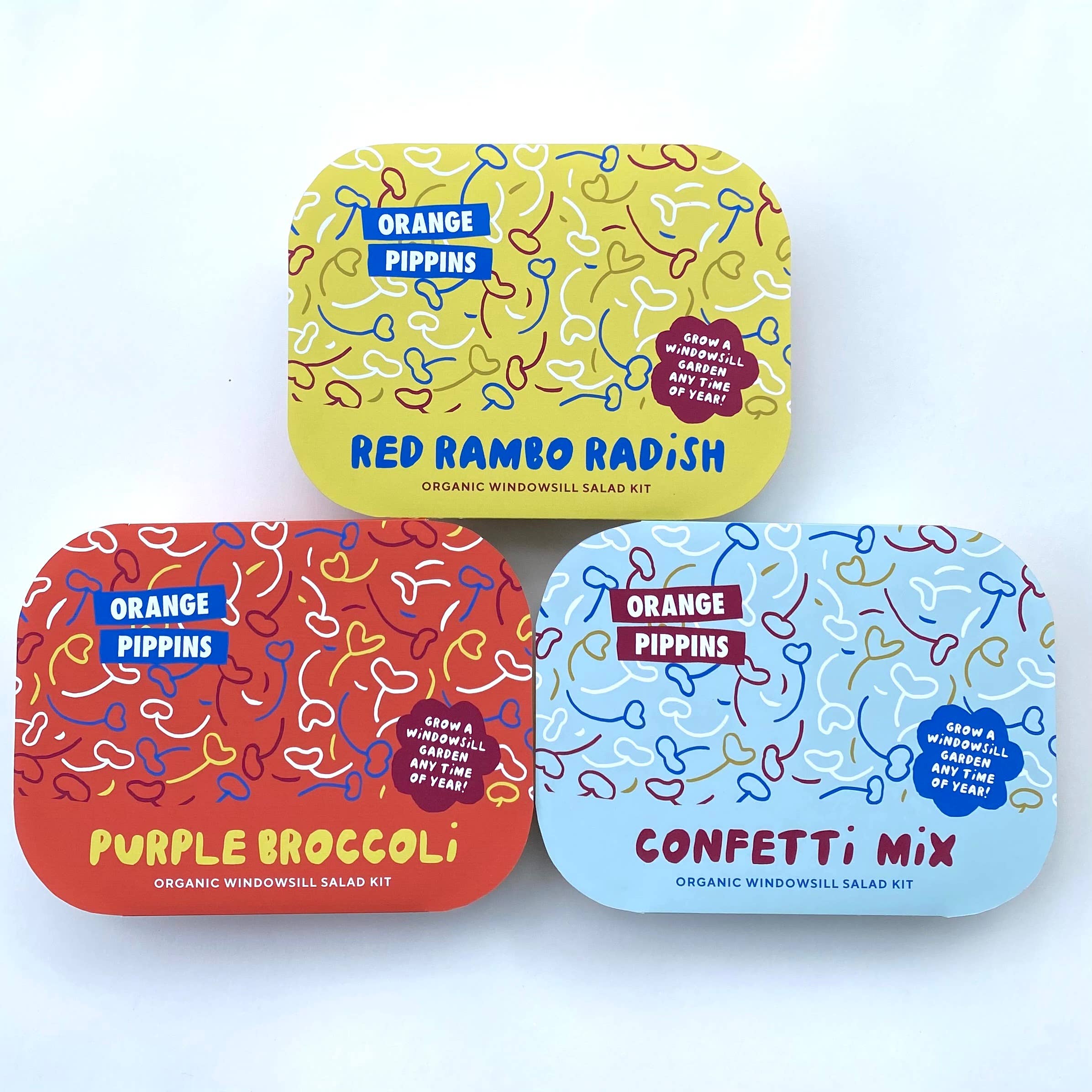 Orange Pippins - Wholesale Plant Seeds - Windowsill Salad Kit: ORGANIC Confetti Salad Mix4