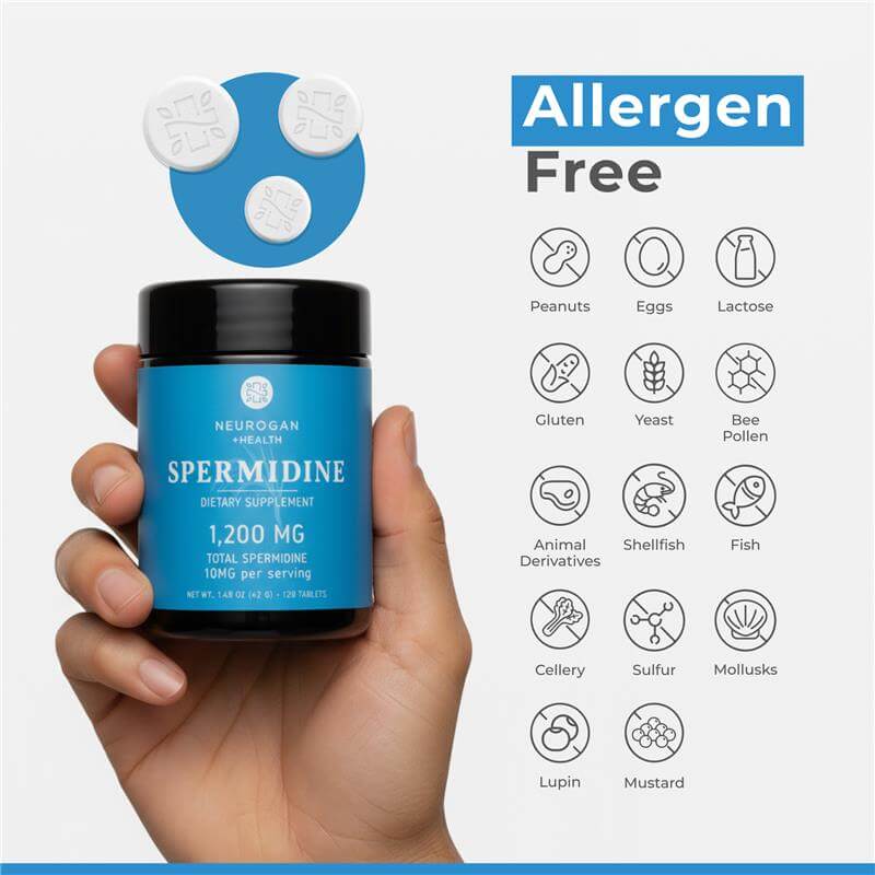 Neurogan Health - Vendita all'ingrosso Vitamine/integratori orali - Compresse di spermidina4