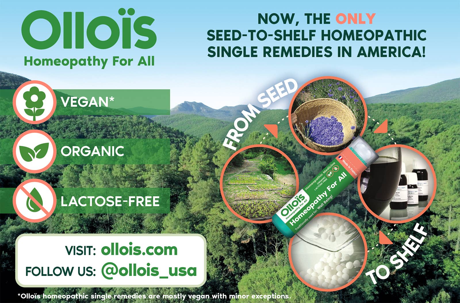Ollois - Wholesale Oral Supplement/Vitamin - Olloïs 200ck Intro (200CK dilution): 84 units (For Retail)1
