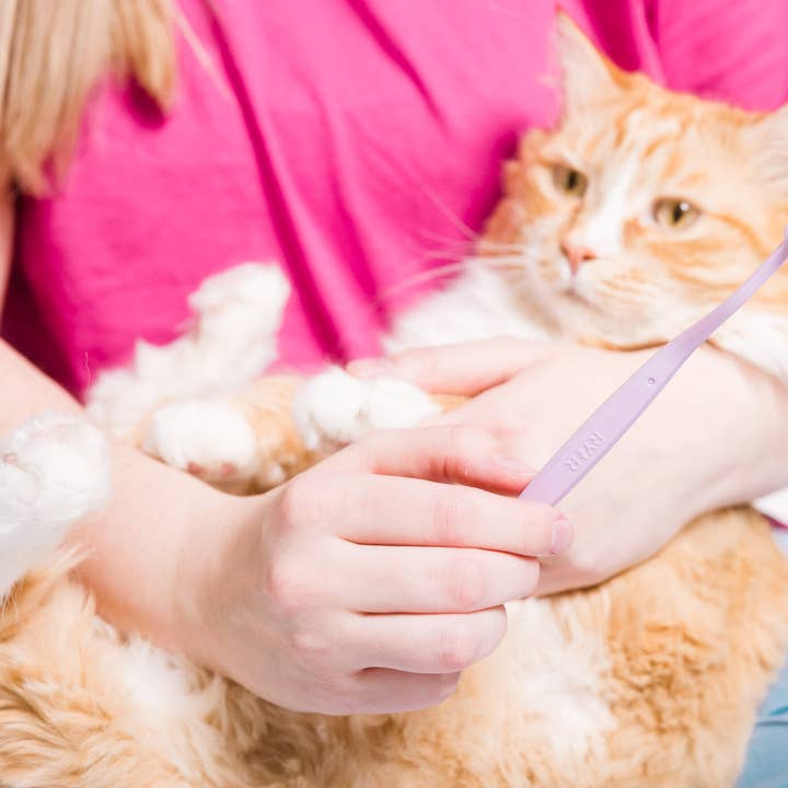 RYERCAT - Wholesale Pet Brush - Cat/Dog - Dual Sided Cat Toothbrush - Mix n' Match Colors!16