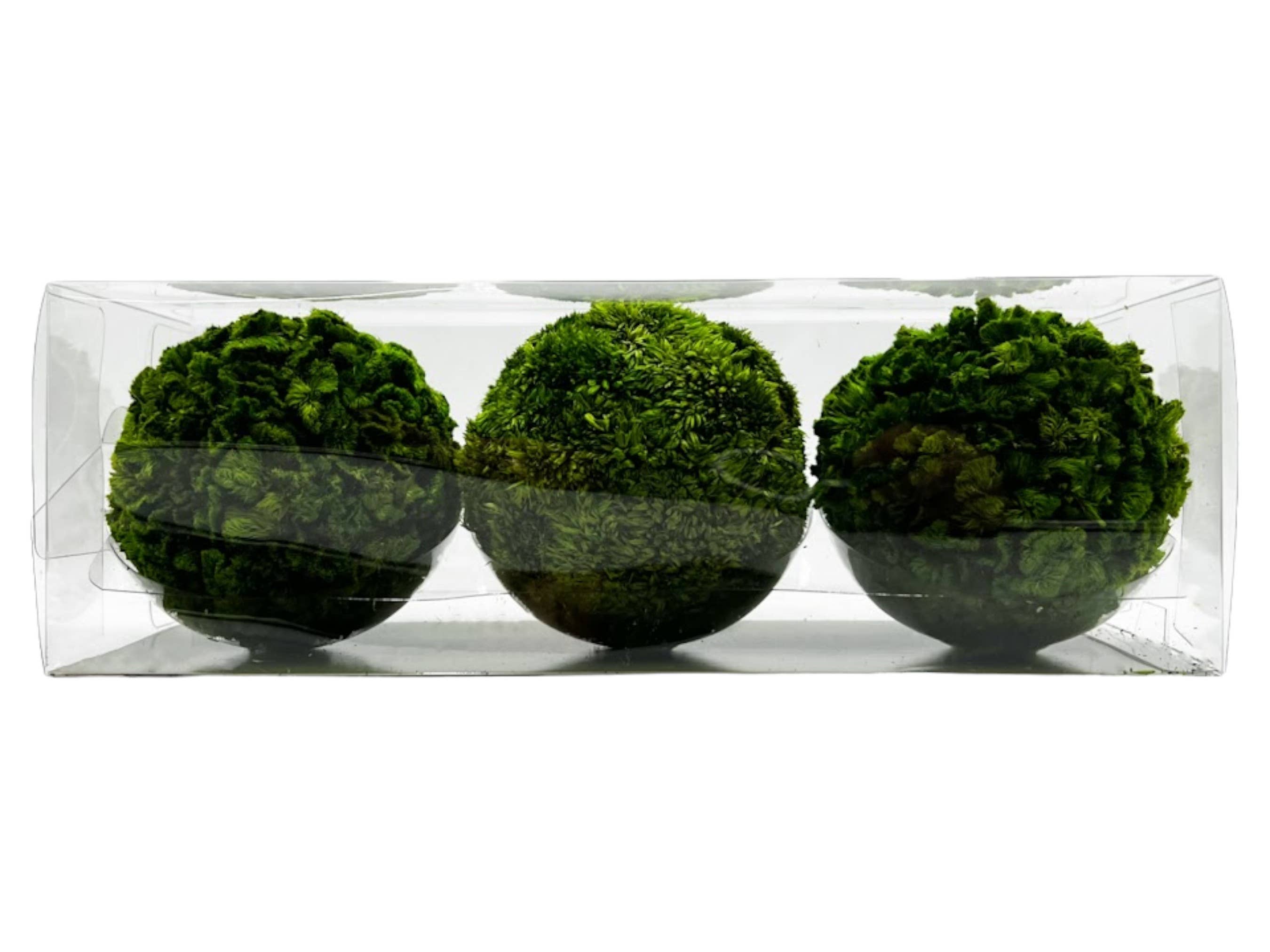 2626 Designs – wholesale Artificial plant – Box of 3 Preserved Cockscomb Topiary Balls Bowl Filler3