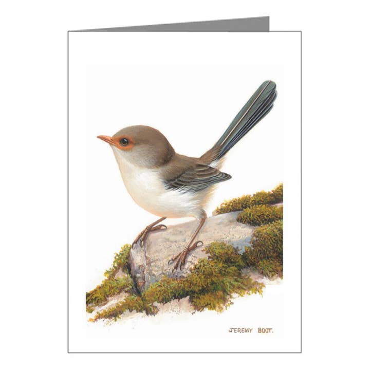 Etiqueta de regalo: reyezuelo azul (mujer) para venta al por mayor de Jeremy Boot Collections