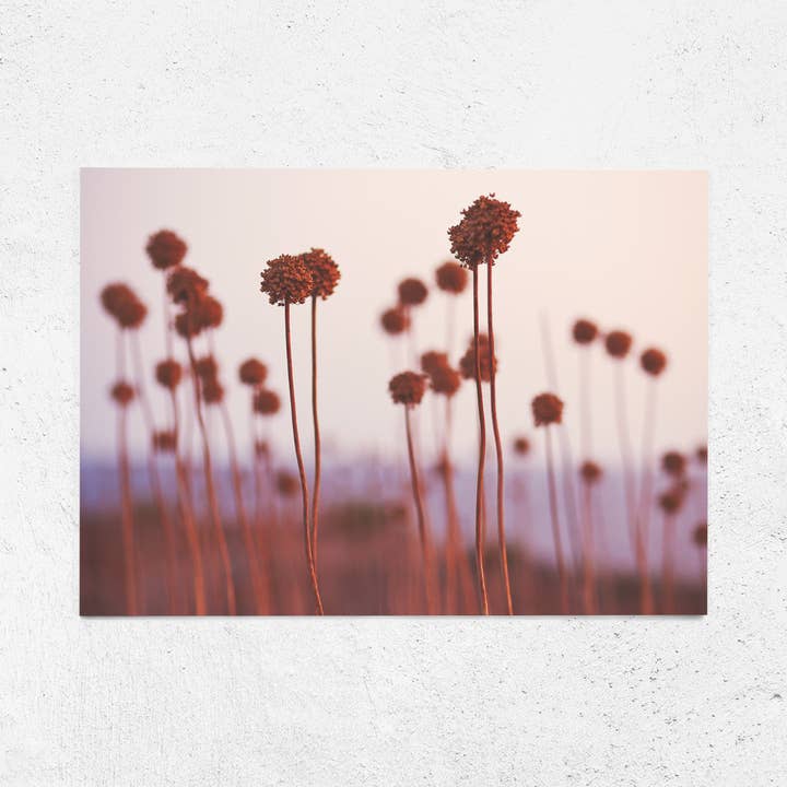 Postkarte Wilder Lauch A6 für den Großhandel von Justepixx