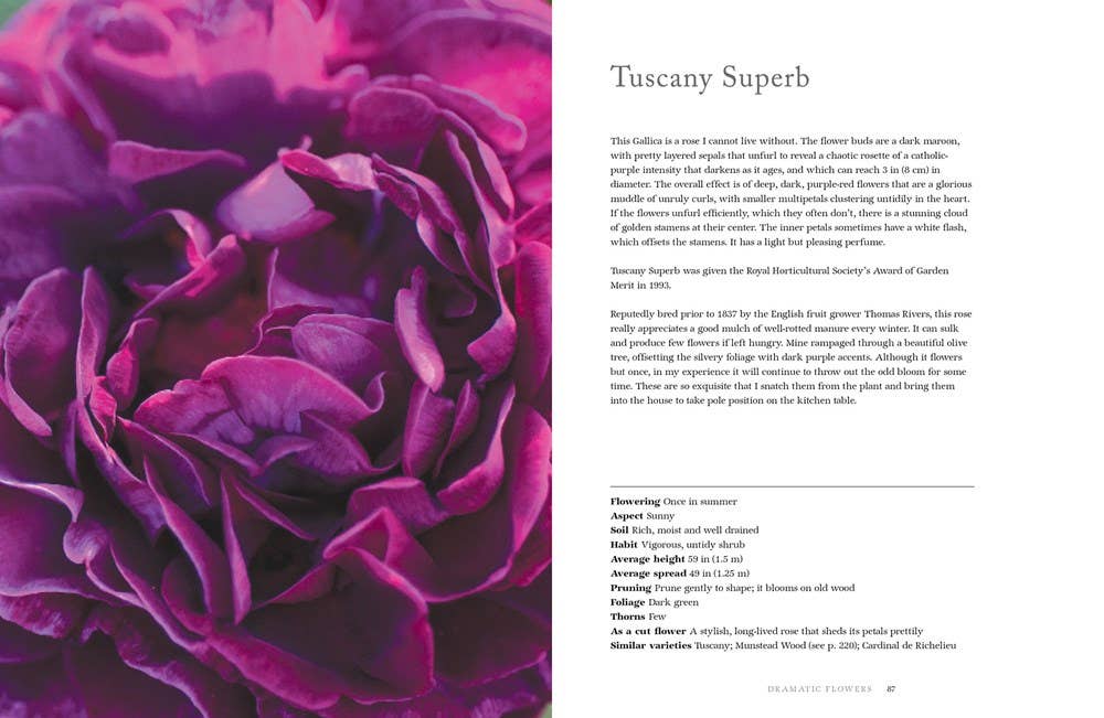 Gibbs Smith - Wholesale Home & Garden - Vintage Roses: Beautiful Varieties for Home & Garden2