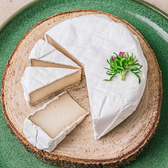 Petit Lorrain BIO – pflanzliche Käsealternative für den Großhandel von Petit Veganne