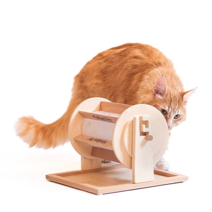 My Intelligent Dogs - Wholesale Pet Toy - Cat/Dog - Wheel of Fortune - Pet Toy of the Year - pet treat dispenser1