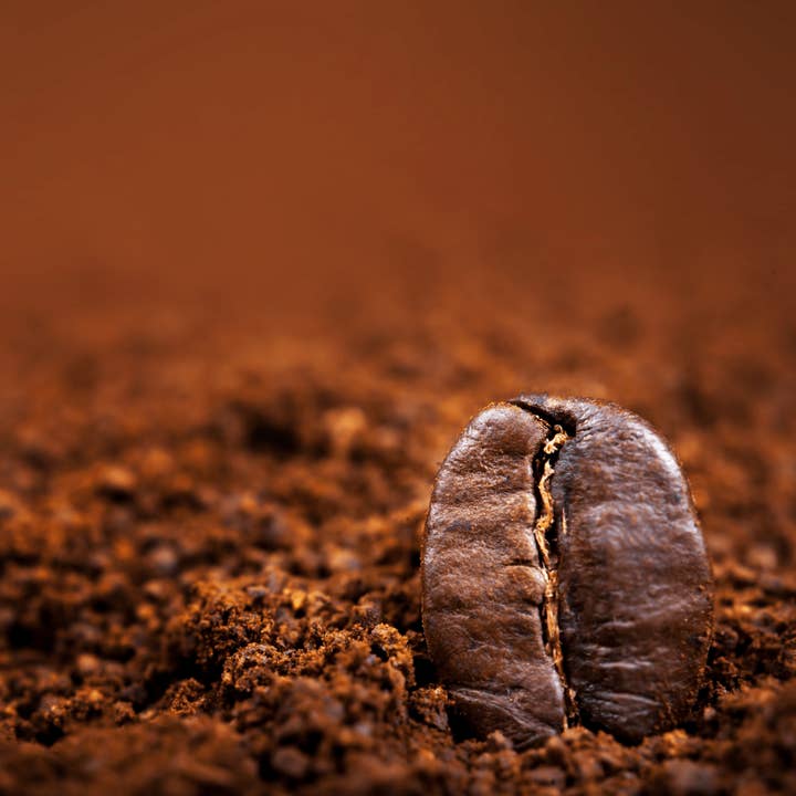 Milestone Coffee - Wholesale Coffee pods - "Brain Burst Blend" - Coffee Pods - 12ct4