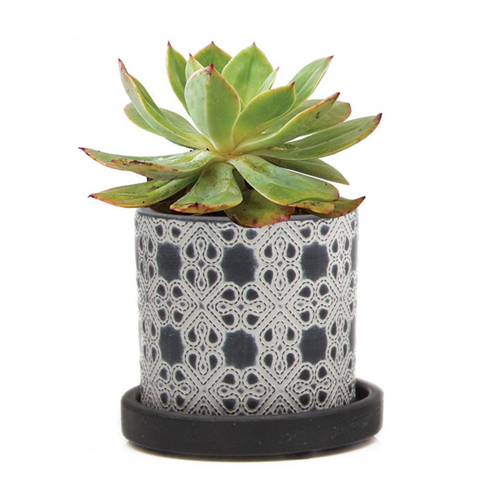 Chive UK - Wholesale Plant Pot - Balter Pot with Saucer for Houseplants, Cacti, Succulents1