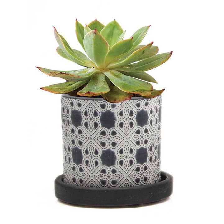 Chive UK - Vente Pot - Balter Pot avec soucoupe pour plantes d'intérieur, cactus, plantes succulentes1