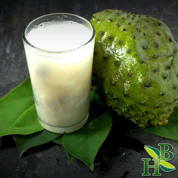 Herb To Body - Wholesale Herbs - Soursop Leaf 14 Grams - Approximately 50 leaves