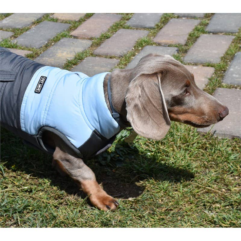 Nayeco – wholesale Pet jacket – Dog – Monte Carlo Blue Jacket1