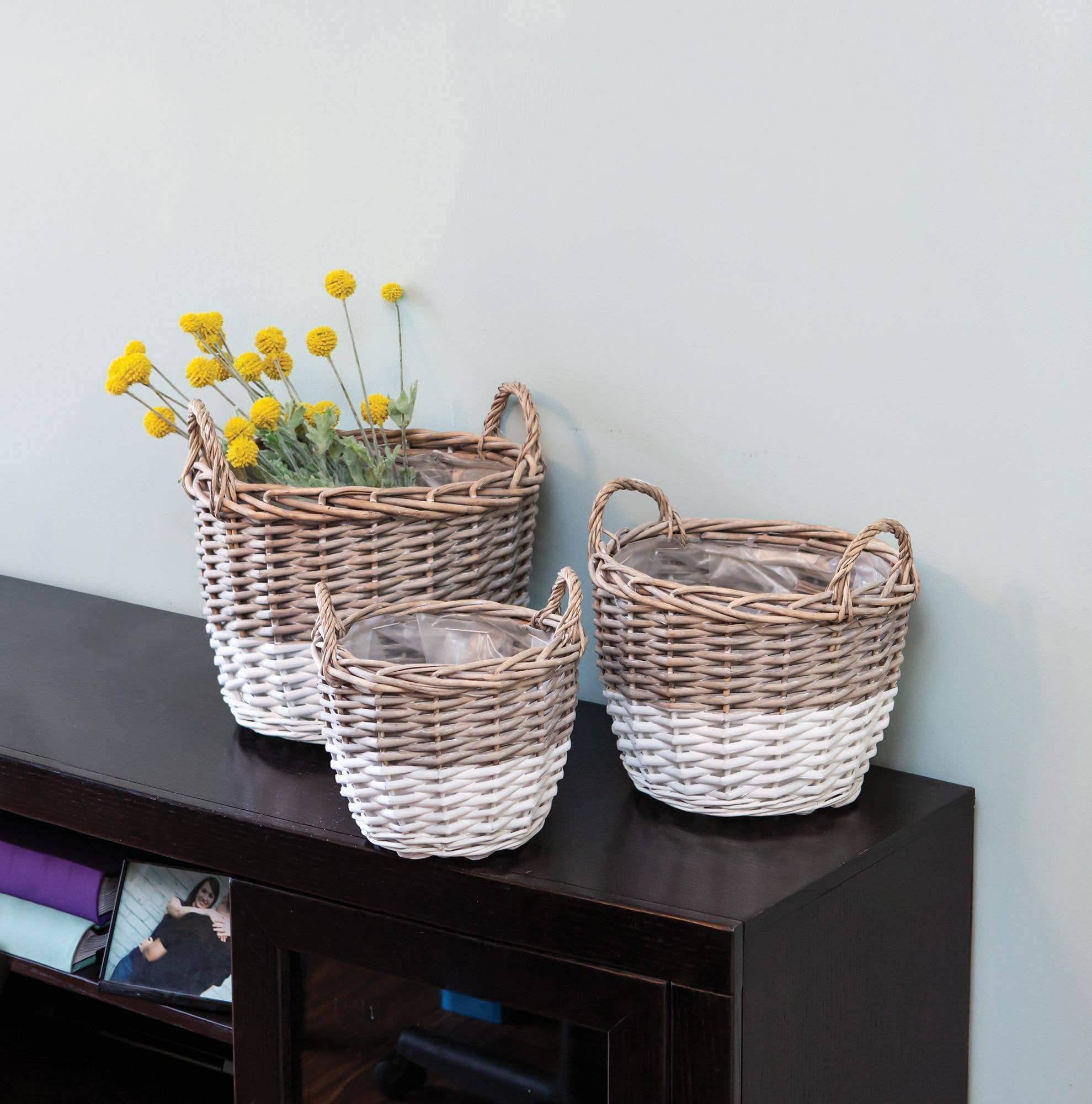 Col House Designs - Wholesale Basket - 3/Set, White Dipped Willow Gathering Basket Planters2