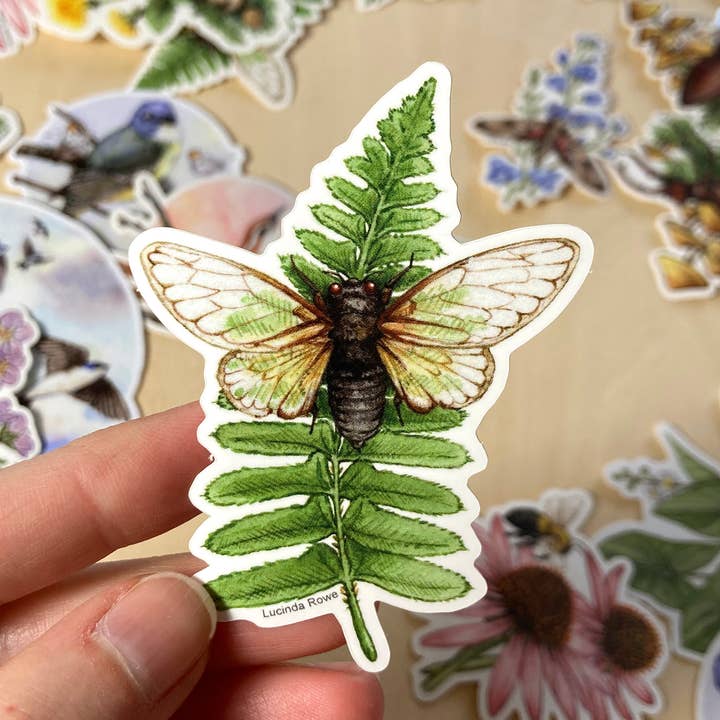 Sticker - Cicada on Fern for wholesale by Lucinda Rowe Art