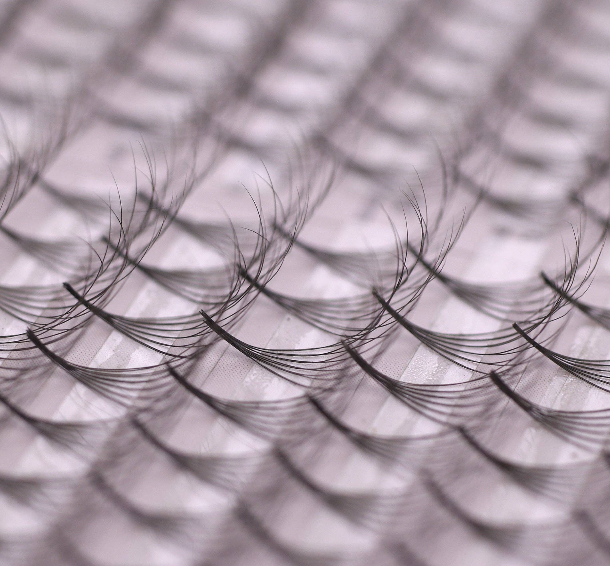 GladGirl – wholesale False/fake eyelashes – 6D Double Layered Signature Mink PreMade Lash Fans - CC Curl & D Curl 0.03 x 8-15mm4