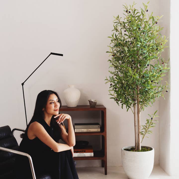 Ulivo Artificiale 180 cm e ulteriori Risultati per piante ulivo all'ingrosso. Resi gratuiti e termini di pagamento a 60 giorni su Faire in tendenza su Faire.