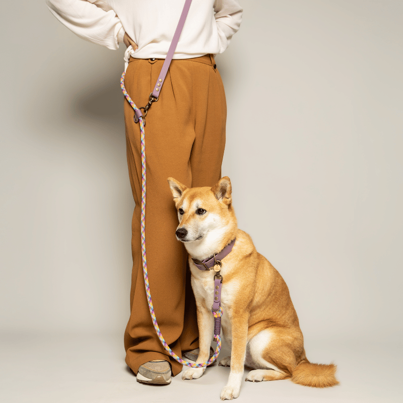 KITSUNE.DOG - Wholesale Pet Leash - Dog - Rainbow paracord MULTIPOSITION leash / LILAC biothane3