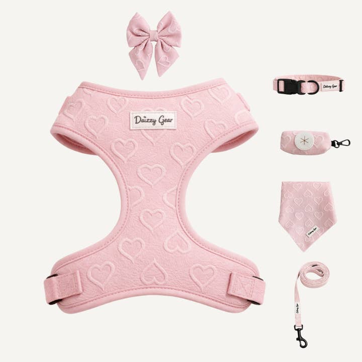 Pink Deluxe 6-Piece Dog Matching Set- Petite Amour for wholesale by Daizzy Gear