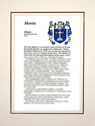 Martin por atacado de Family Histories