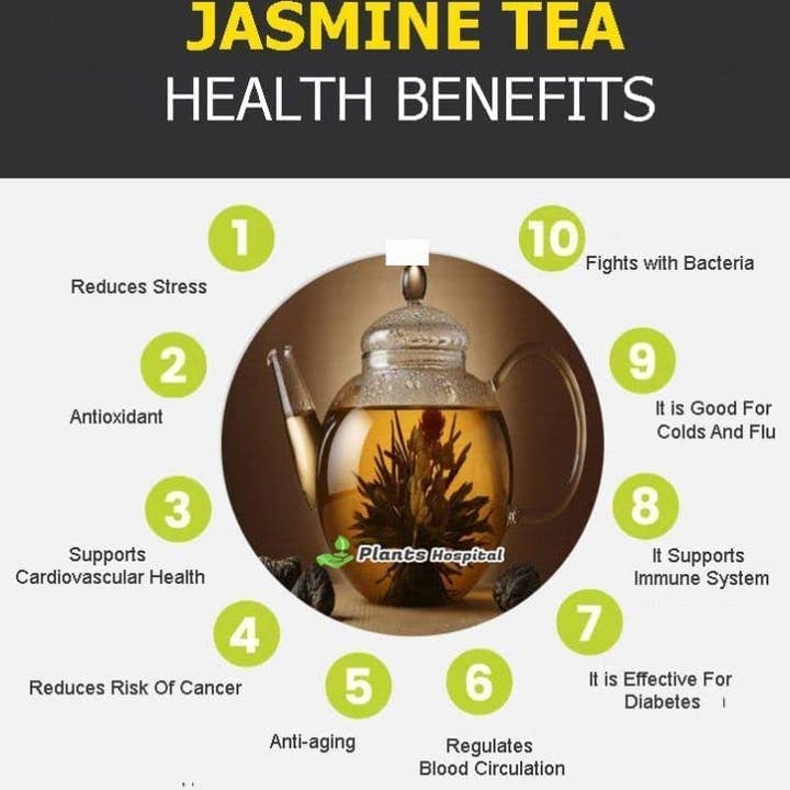 The Rike - Wholesale Loose Tea - Dried Jasmin Buds Herbal Tea white Jasmine Flower Tea 100 gr3