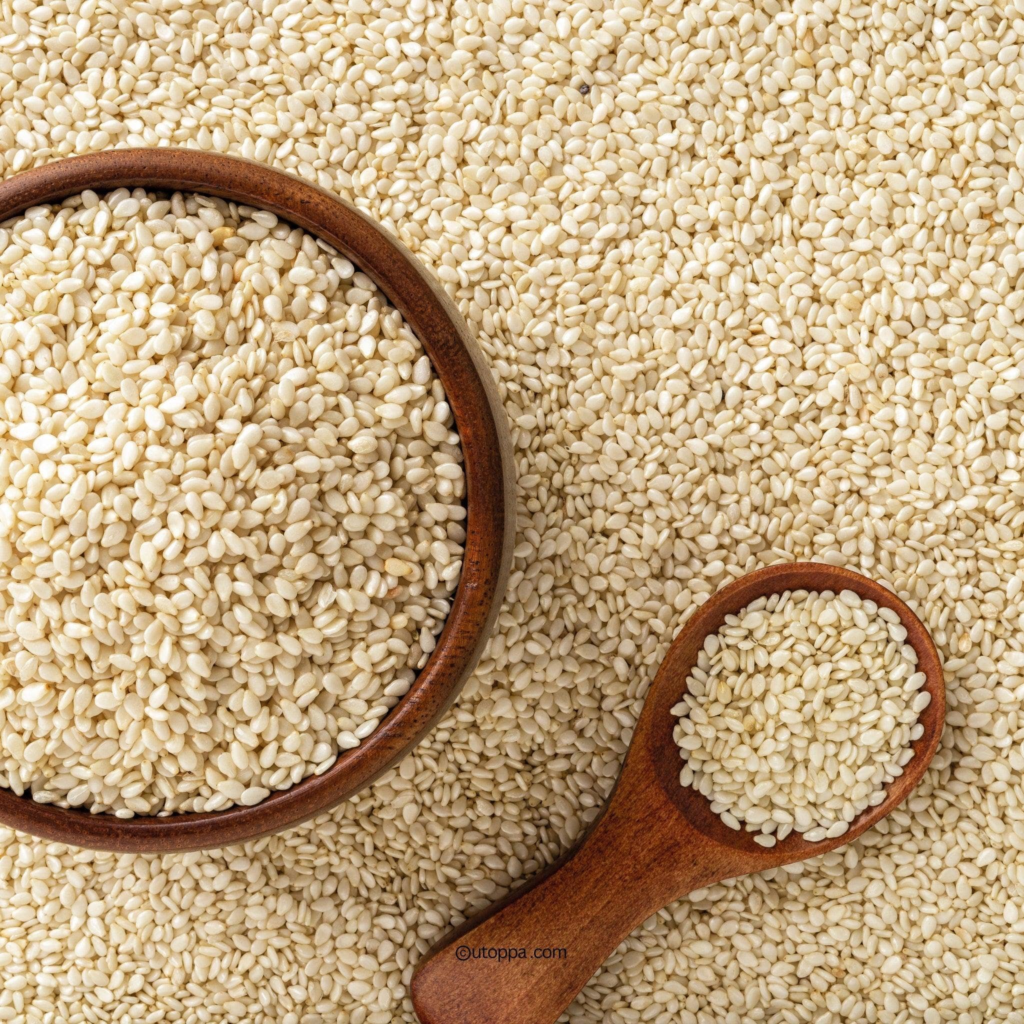 utoppa GmbH - Wholesale Nuts - Foreway Roasted White Sesame Seeds 100 g1