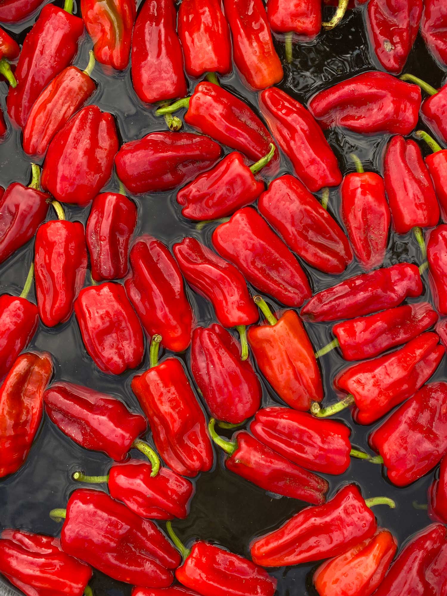 Springs Fireplace - Wholesale Hot Sauce - Aji Peach5