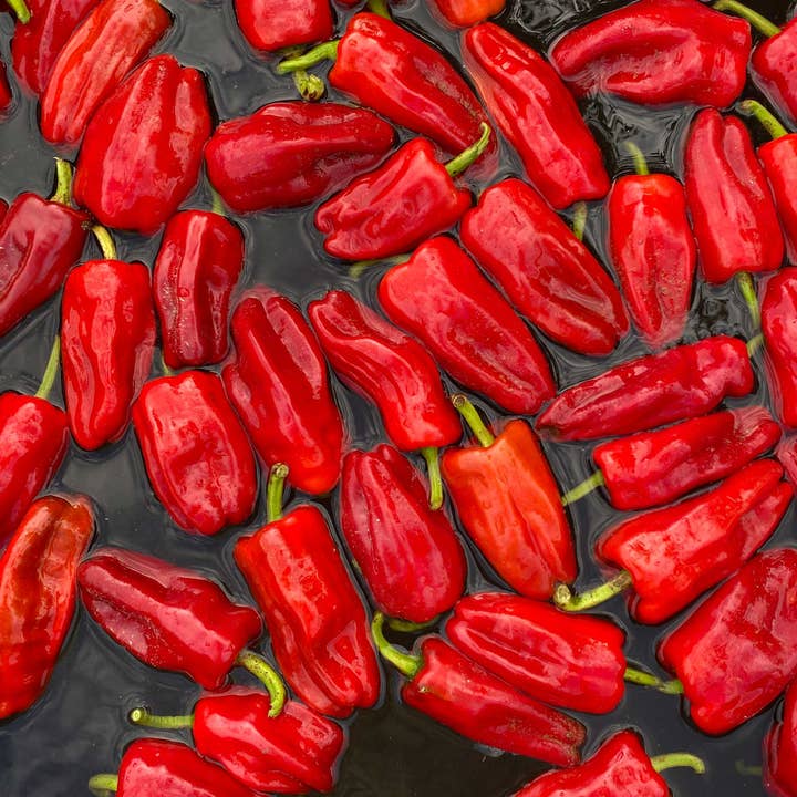 Springs Fireplace - Wholesale Hot Sauce - Aji Peach5