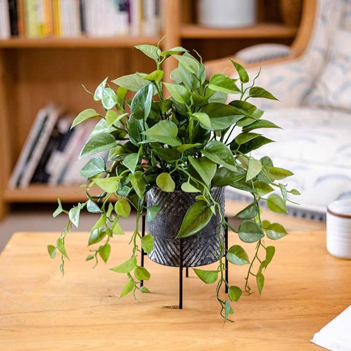Rustic Reach - Wholesale Artificial Plant - Faux Epipremnum in Metal Pot0