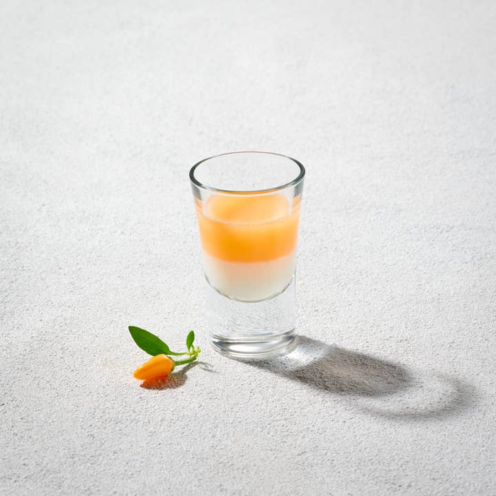 Kadra Kitchenware - Wholesale Shot Glass - Vikko - Cheerio Shot Glass, 1 Oz