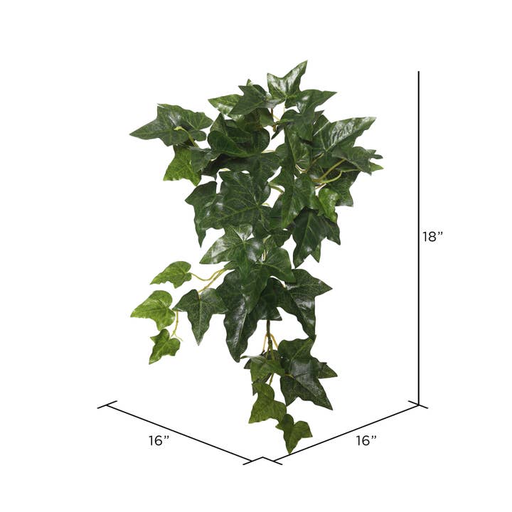 Vickerman 18" Green English Ivy Hanging Bush Pk/3 for wholesale on Faire2