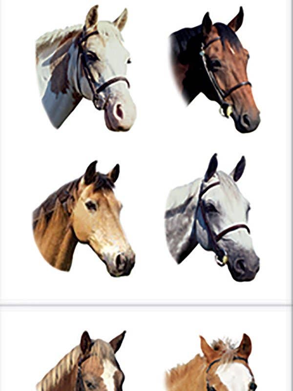 Horses Sticker for wholesale by Paper House Productions