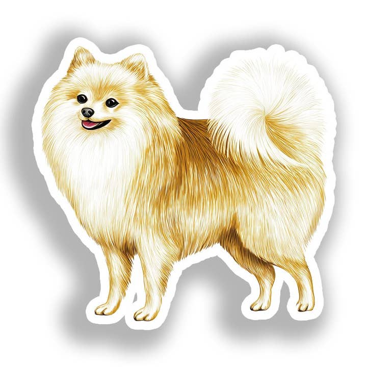 Pomeranian Dog Decal Sticker # A017410 for wholesale by Yoonek Graphics