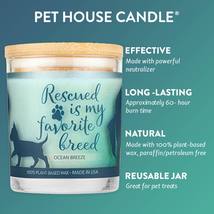 Pet House by One Fur All - Wholesale Jar/Filled Candle - Sentiments Ocean Breeze 9 oz Candle1