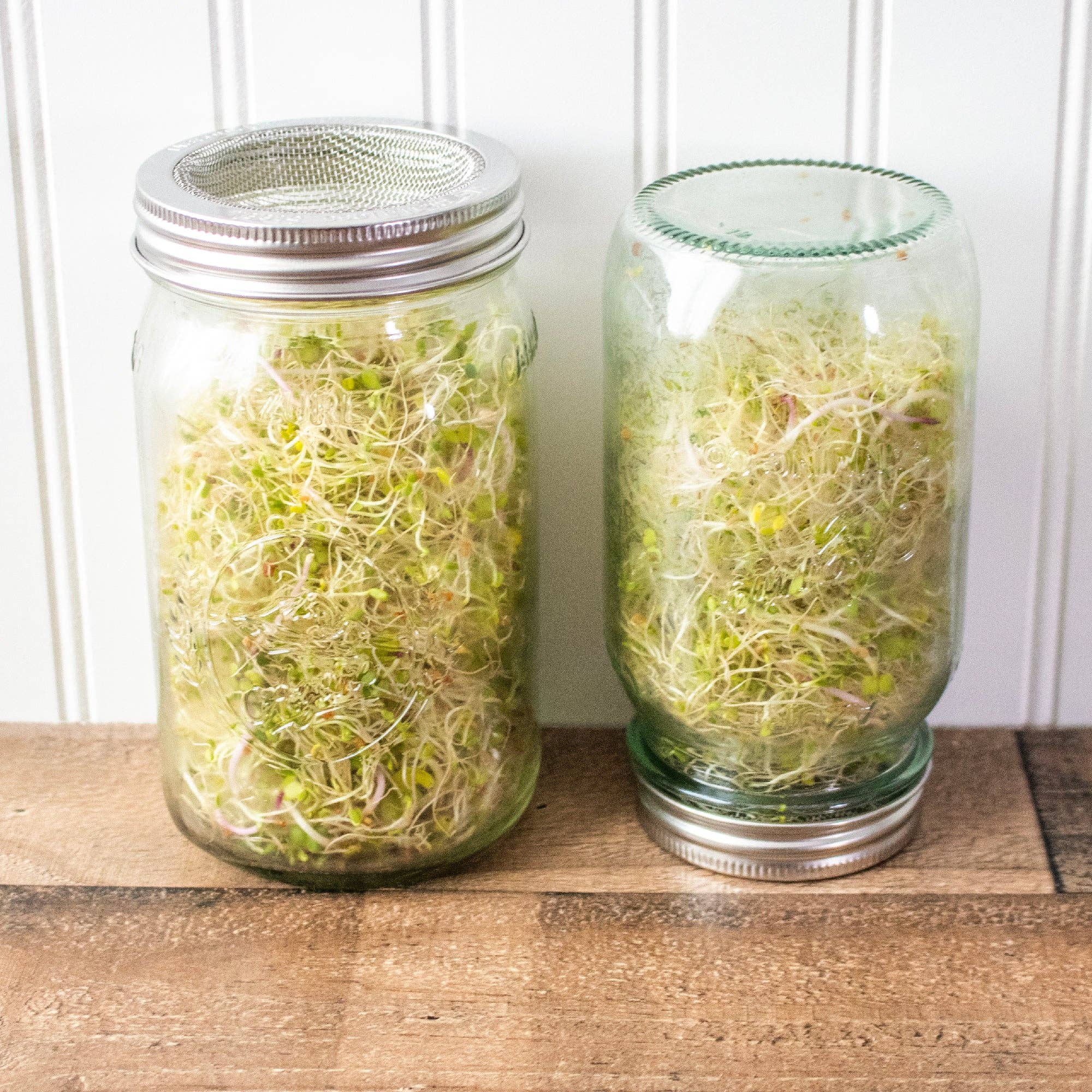 Mason Jar Lifestyle - Vente Boîtes de conservation - Couvercle et bande de germination incurvés antirouille pour bocaux Mason3