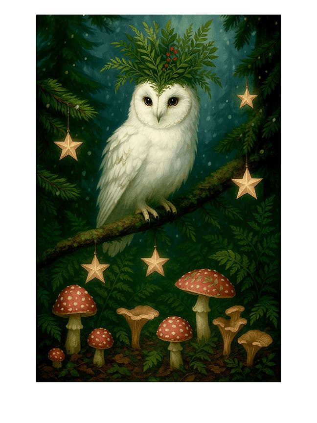 Whimsical Animal Art Print, Forest Owl Illustration, 9x13 for wholesale by Thistle and Tale Press