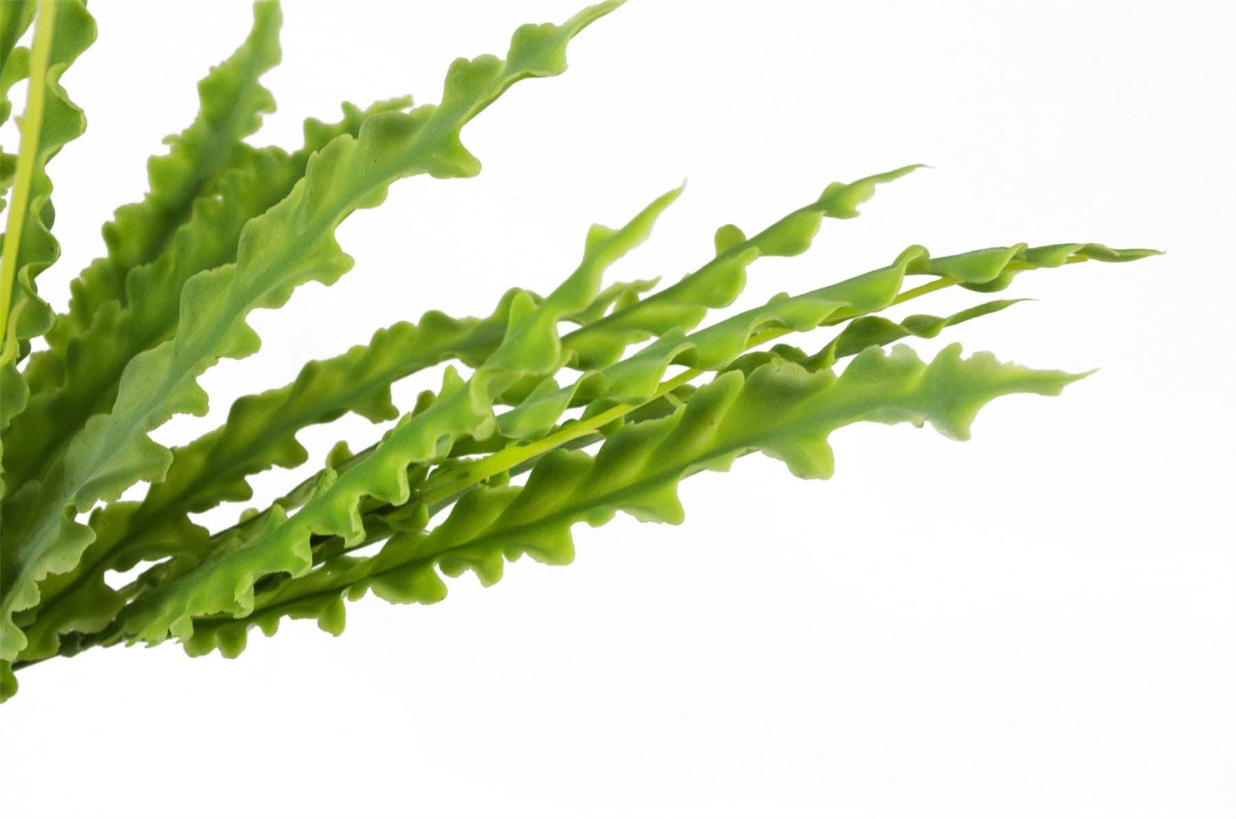 Leaf Design UK LTD – wholesale Konstgjord växt – Fern Växt Artificiell Realistisk 40cm Artificiell2