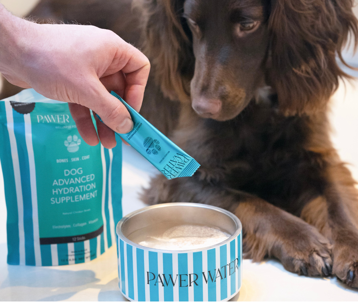 Pawer Water – wholesale Pet supplement – Dog – PAWER WATER For Dogs : BONES, JOINTS & SKIN | Sticks Bulk1