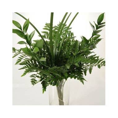 Florasource - Wholesale Fresh Cut Flowers - Greenery "drop in" Bouquets MEDIUM 5 / 10 / 15 / 20 bunches5