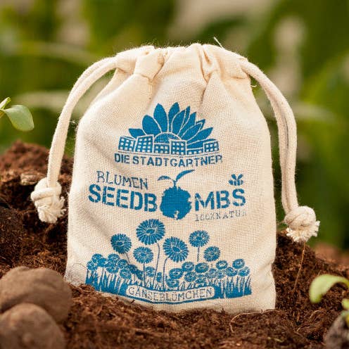 Seed Bombs - Daisies for wholesale by TDJ Stadtgärtner GmbH