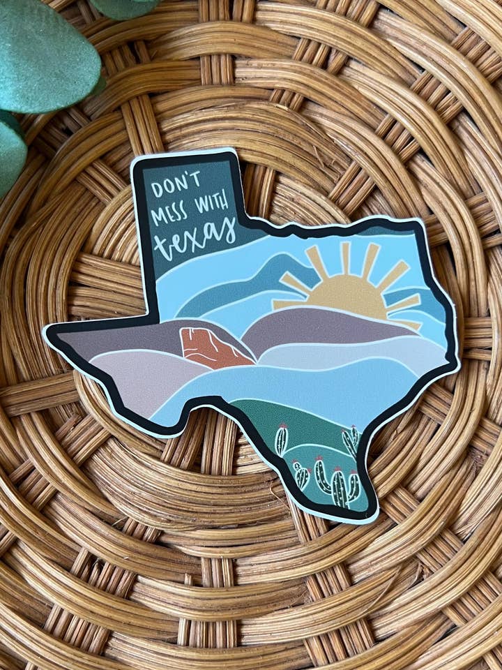 Texas Vinyl Sticker for Laptops and Water Bottles for wholesale by Meg Creates