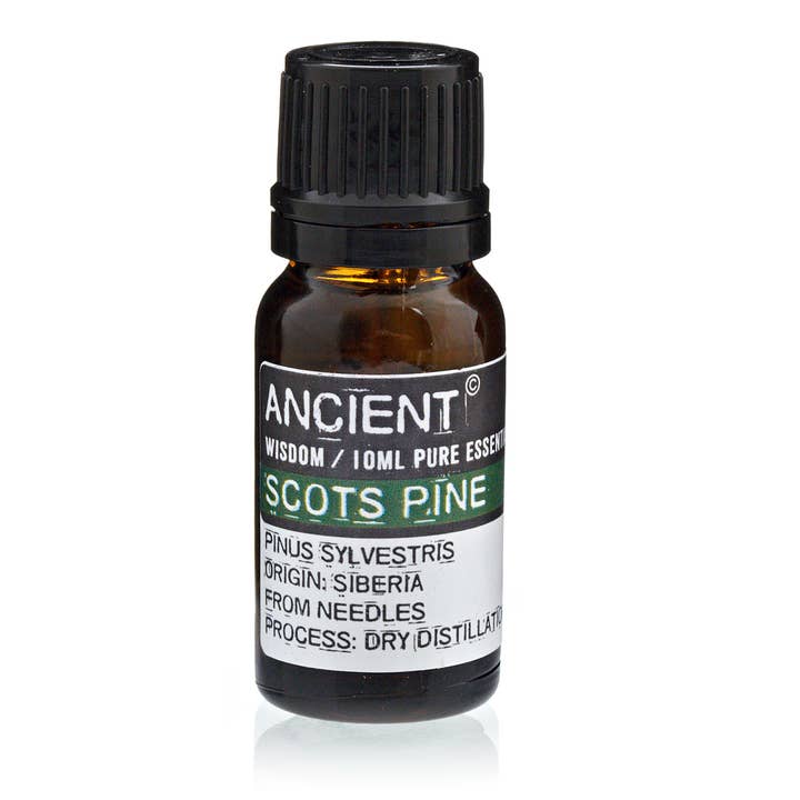 Ancient Wisdom - Wholesale Essential Oil - 10 ml Pine Sylvestris (Scots Pine) Essential Oil