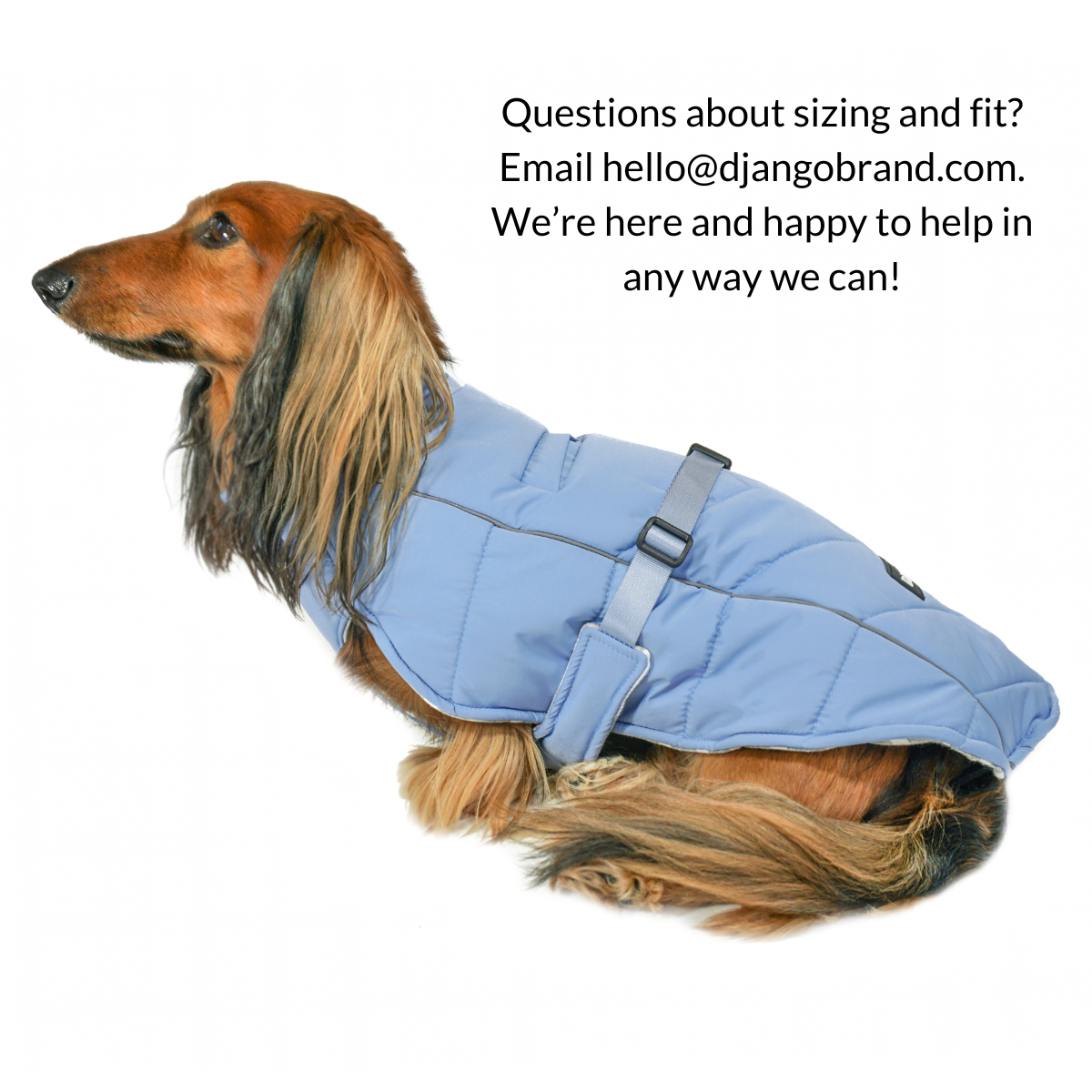 DJANGO - Wholesale Pet Coat - Dog - Whistler Winter Dog Coat - Dusk Blue11