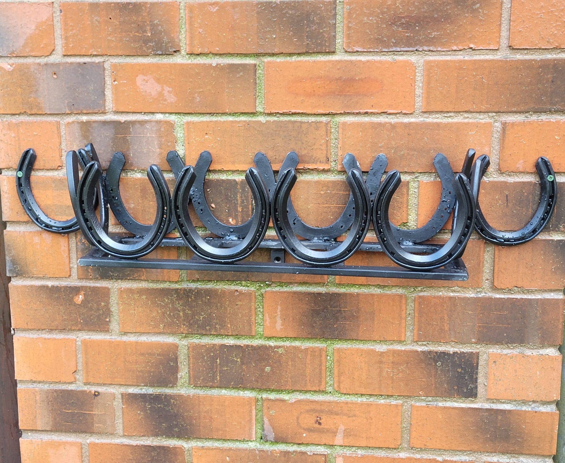 Horseshoe Collection – wholesale Wall planter – ULTIMATE  WINDOW / WALL BOX3