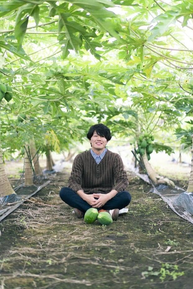 Japan Artisans - Vente Sachets de thé - THÉ DE FEUILLES DE PAPAYE 7 sachets | Fabriqué au Japon8