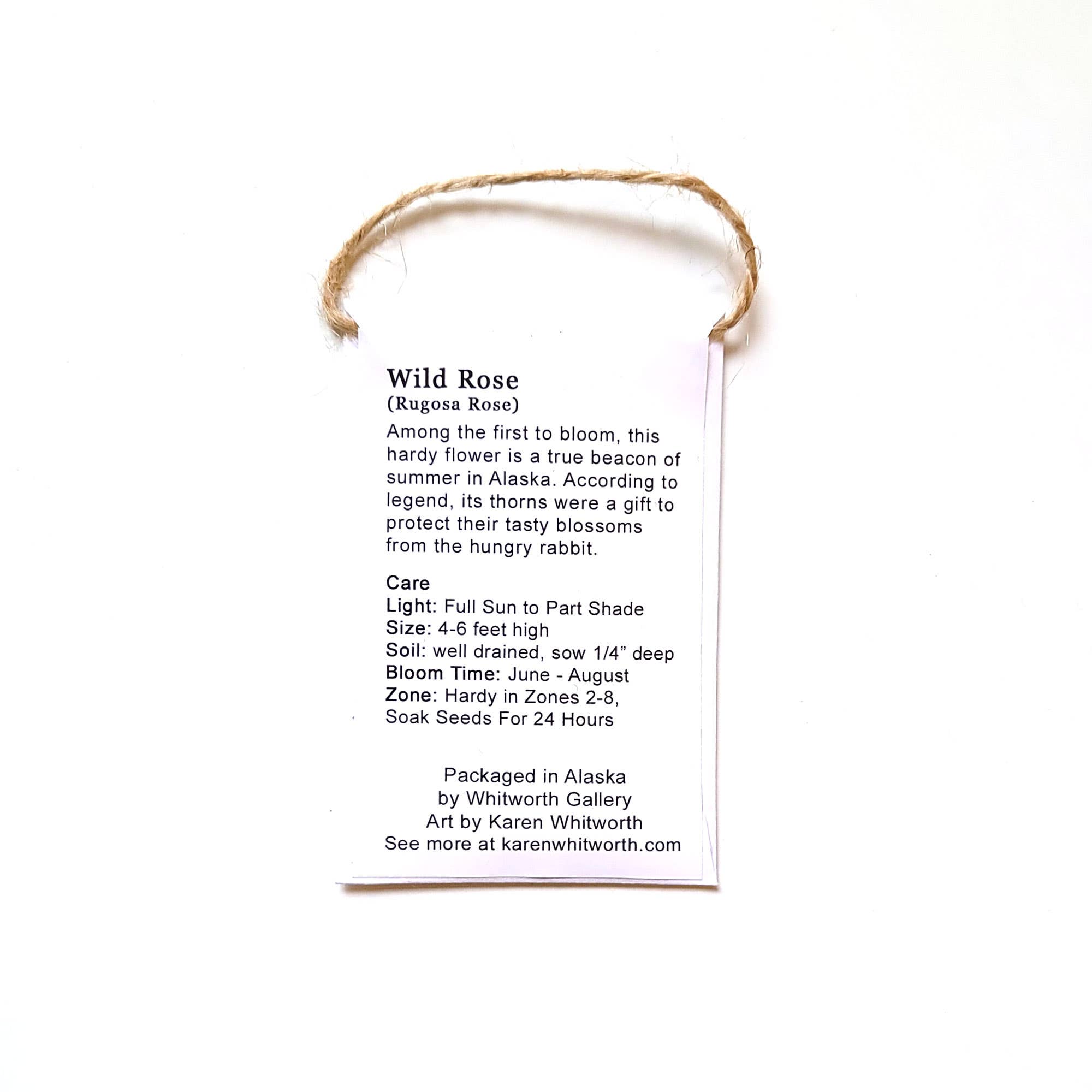 Whitworth Gallery - Wholesale Plant Seeds - Alaskan Wild Rose Wildflower Seed Packets3