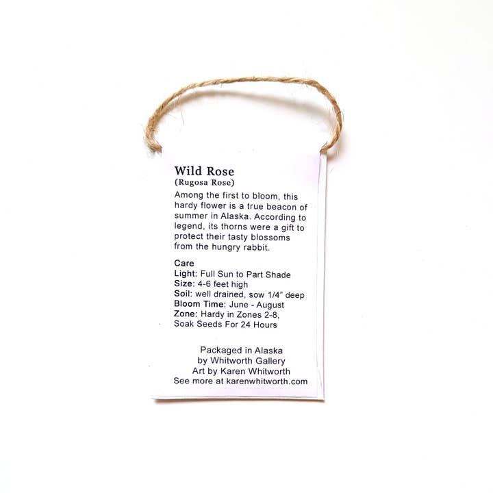 Whitworth Gallery - Wholesale Plant Seeds - Alaskan Wild Rose Wildflower Seed Packets3