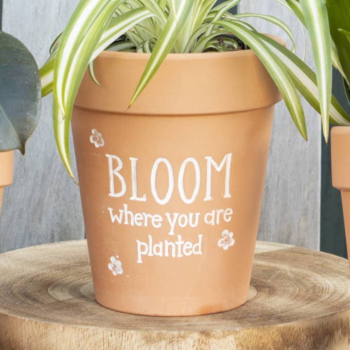 Something Different Wholesale – Großhandel Blumentopf – Bloom Where You Are Planted Blumentopf aus Terrakotta0