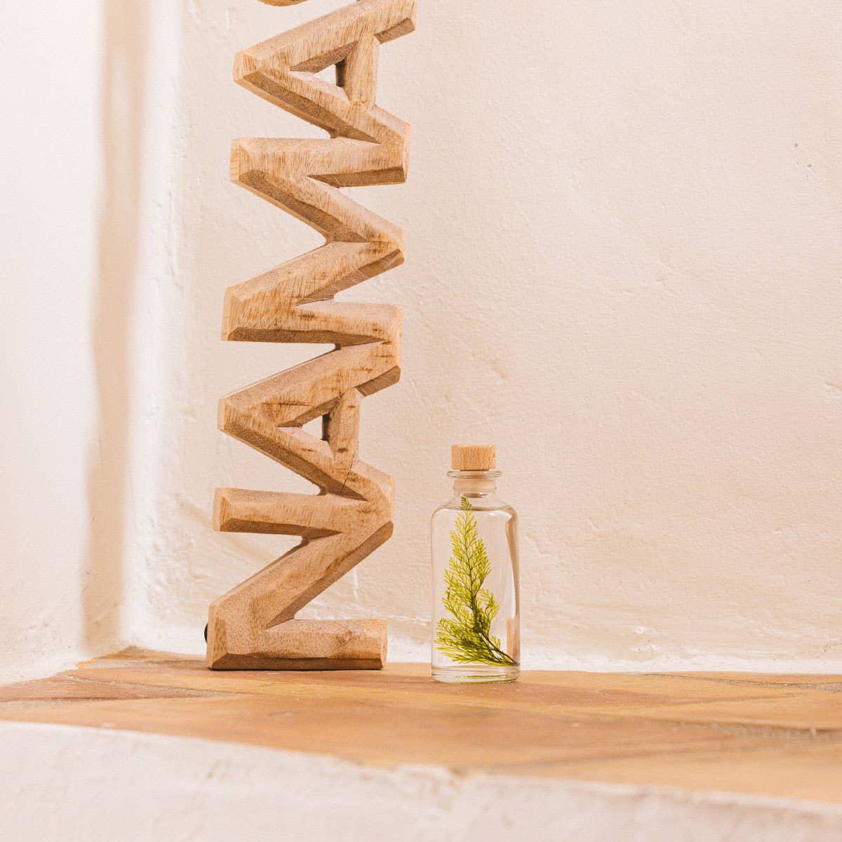 Theophile Berthon - Wholesale Live Plant - The Tabalia Fern Herbarium - submerged plant6