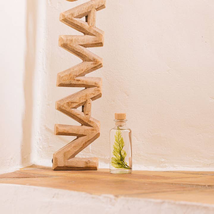 Theophile Berthon - Wholesale Live Plant - The Tabalia Fern Herbarium - submerged plant6