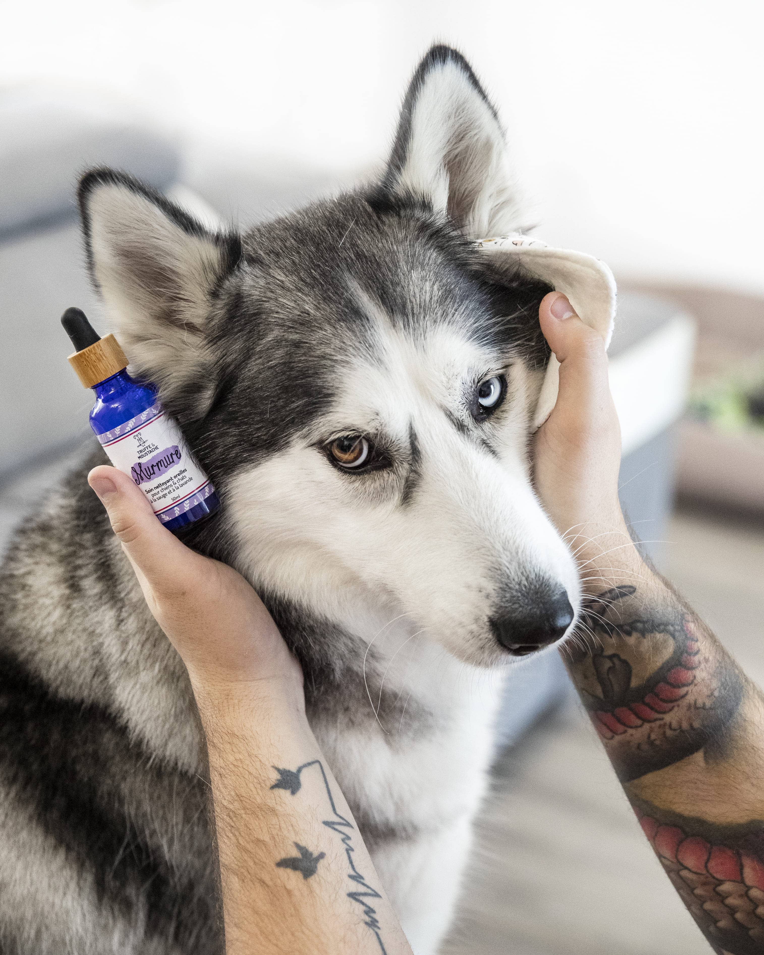 Truffe & Moustache - Vendita all'ingrosso Prodotti per la pulizia degli animali - Detergente auricolare naturale al 96% per cani e gatti, « Whisper »9